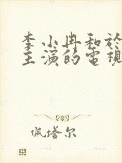 李小冉和于和伟主演的电视剧全部