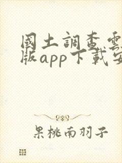 国土调查云专业版app下载安卓