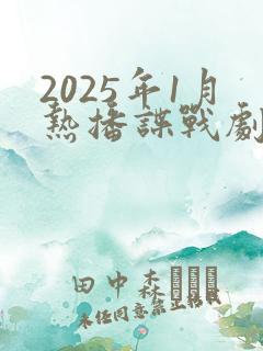 2025年1月热播谍战剧
