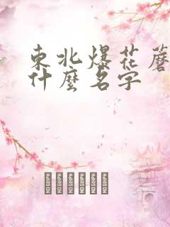 东北爆花蘑菇叫什么名字