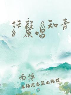 任毅《知青之歌》原唱