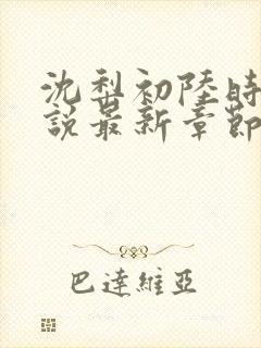 沈梨初陆时霁小说最新章节免费阅读