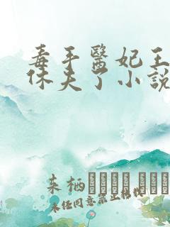 毒手医妃王爷被休夫了小说免费阅读全文下载