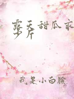 露天甜瓜亩产多少斤