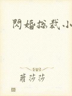 闪婚总裁小娇妻