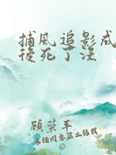 捕风追影成龙最后死了没