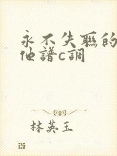 永不失联的爱吉他谱c调