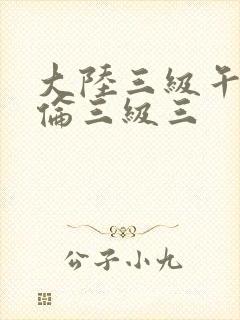 大陆三级午夜理伦三级三