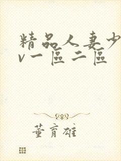 精品人妻少妇av一区二区