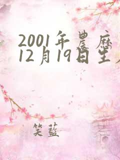 2001年农历12月19日生辰八字