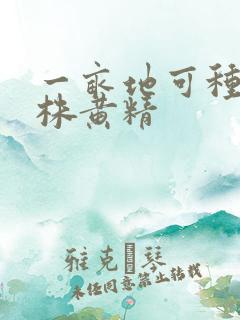 一亩地可种多少株黄精