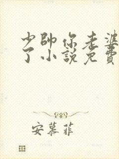 少帅你老婆又跑了小说免费下载
