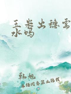 玉米出穗需要浇水吗