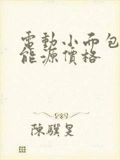 电动小面包车新能源价格