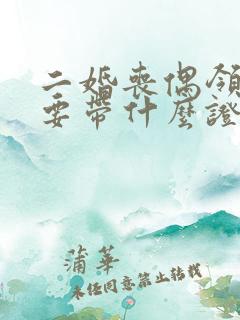 二婚丧偶领证需要带什么证件