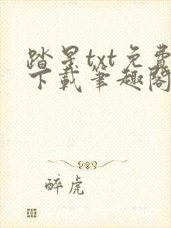 踏星txt免费下载笔趣阁