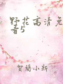 野花高清免费观看5