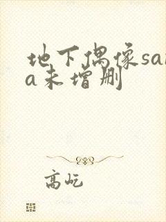 地下偶像sana未增删