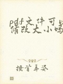 pdf文件可以修改大小吗