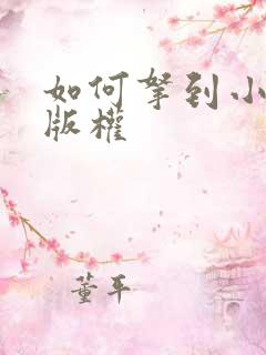 如何拿到小说的版权