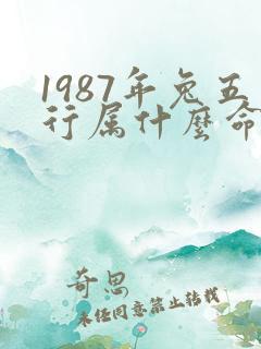 1987年兔五行属什么命缺什么和什么相克