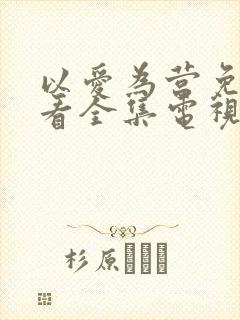 以爱为营免费观看全集电视剧完整版