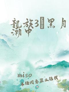 龙族3·黑月之潮中