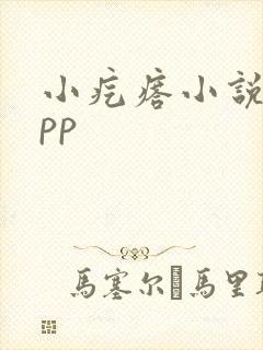 小疙瘩小说网app