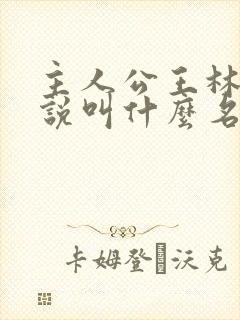 主人公王林的小说叫什么名字