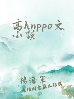 高hnppo文小说