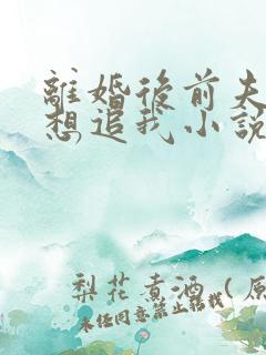 离婚后前夫总是想追我小说完整版
