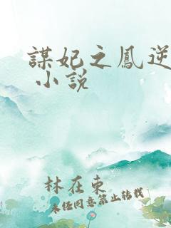 谋妃之凤逆天下 小说
