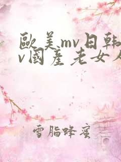 欧美mv日韩mv国产老女人
