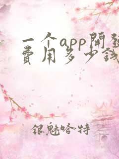 一个app开发费用多少钱