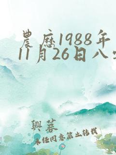 农历1988年11月26日八字算命