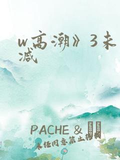 w高潮》3未删减