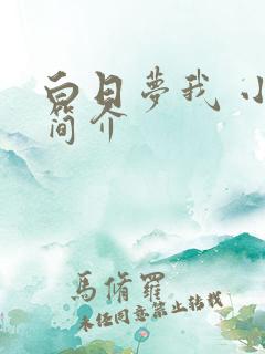 白日梦我 小说简介