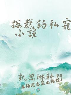 总裁的私宠甜妻 小说