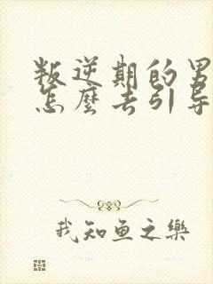 叛逆期的男孩子怎么去引导初中生