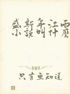 盛斯年江雨江婉小说叫什么名字
