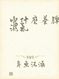 吃什么养脾胃去湿气