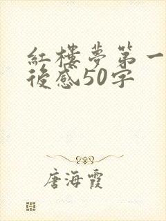 红楼梦第一集读后感50字