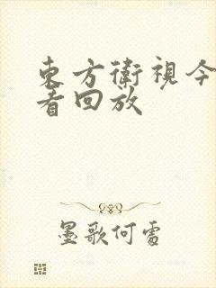东方卫视今晚回看回放