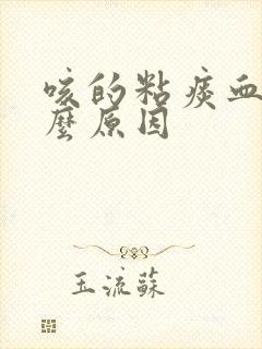 咳的粘痰血是什么原因