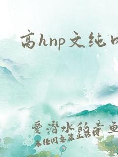 高hnp文纯肉