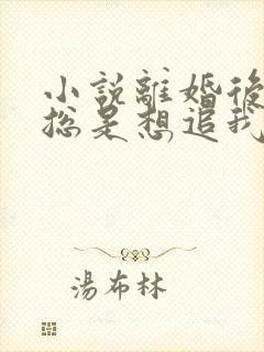 小说离婚后前夫总是想追我免费看