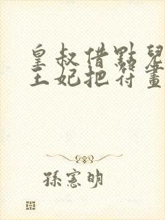 皇叔借点儿功德王妃把符画满了