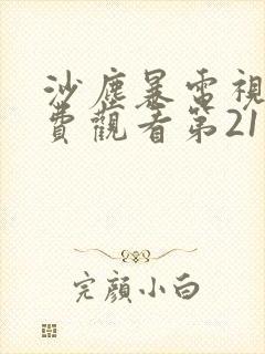 沙尘暴电视剧免费观看第21集