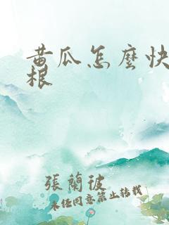 黄瓜怎么快速生根
