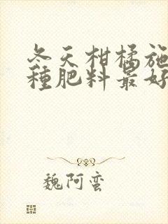 冬天柑橘施肥哪种肥料最好